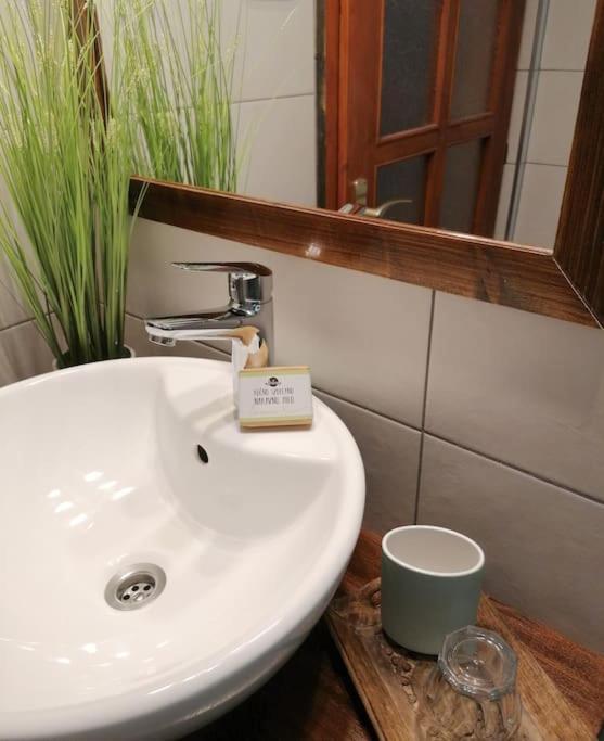 Tela Apartment