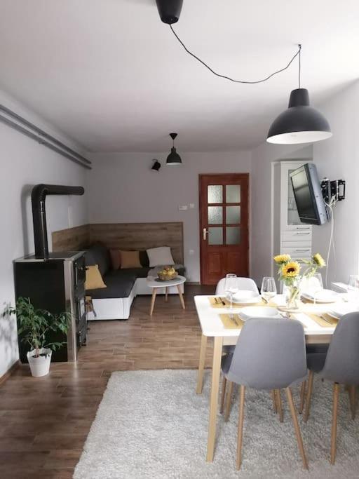 Tela Apartment